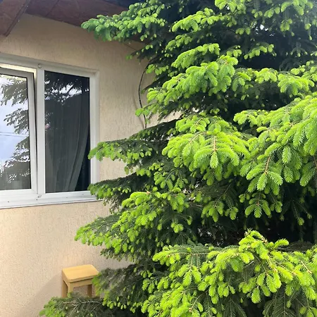 Holiday home Cozy House On Vanceti Street Odesa