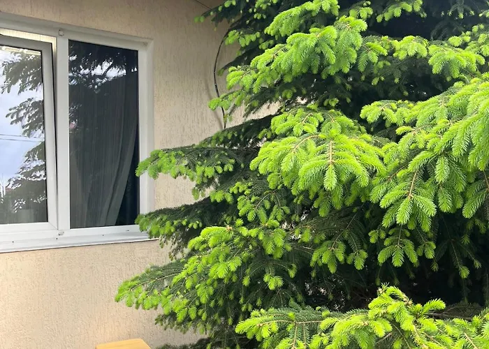 Holiday home Cozy House On Vanceti Street Odesa